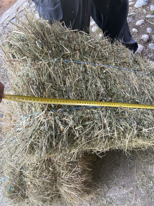 Vand baloti fan calitate superioara