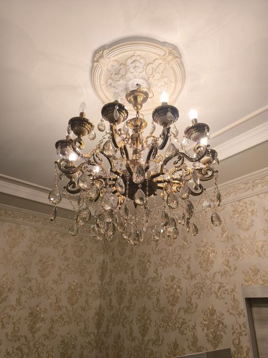 Lustra sotiladi pashti yengi