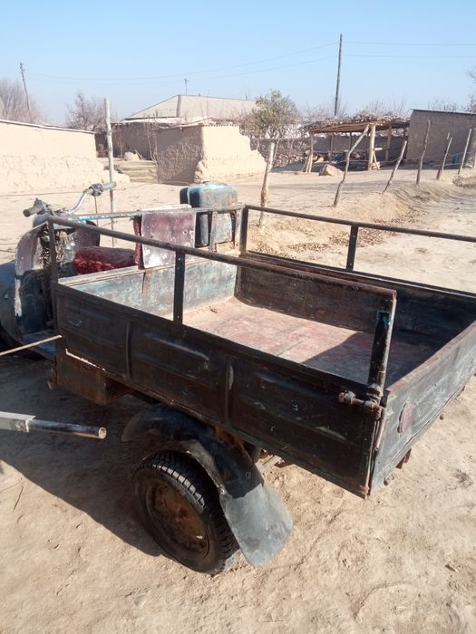 Муравей СССР российской