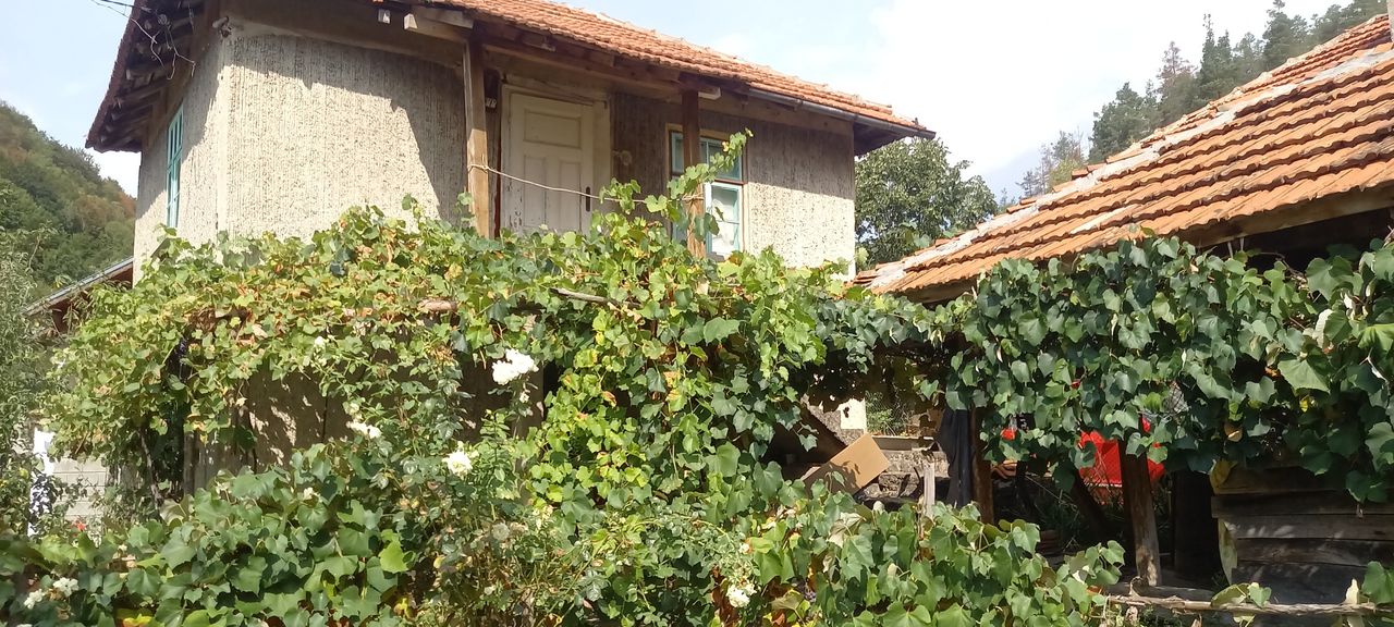 Продава се Къща в с. Лява река, Област Стара Загора - 60 кв.м за 340 €/кв.м - Снимка #10