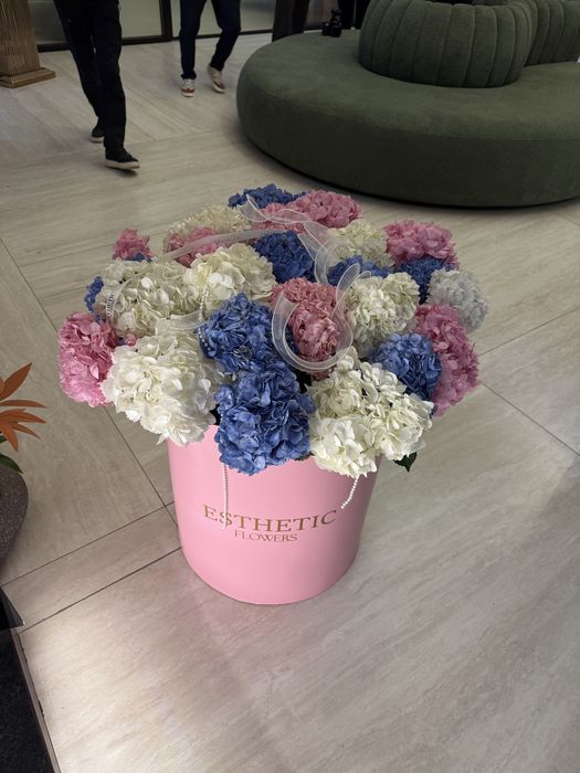 Цветы гортензия