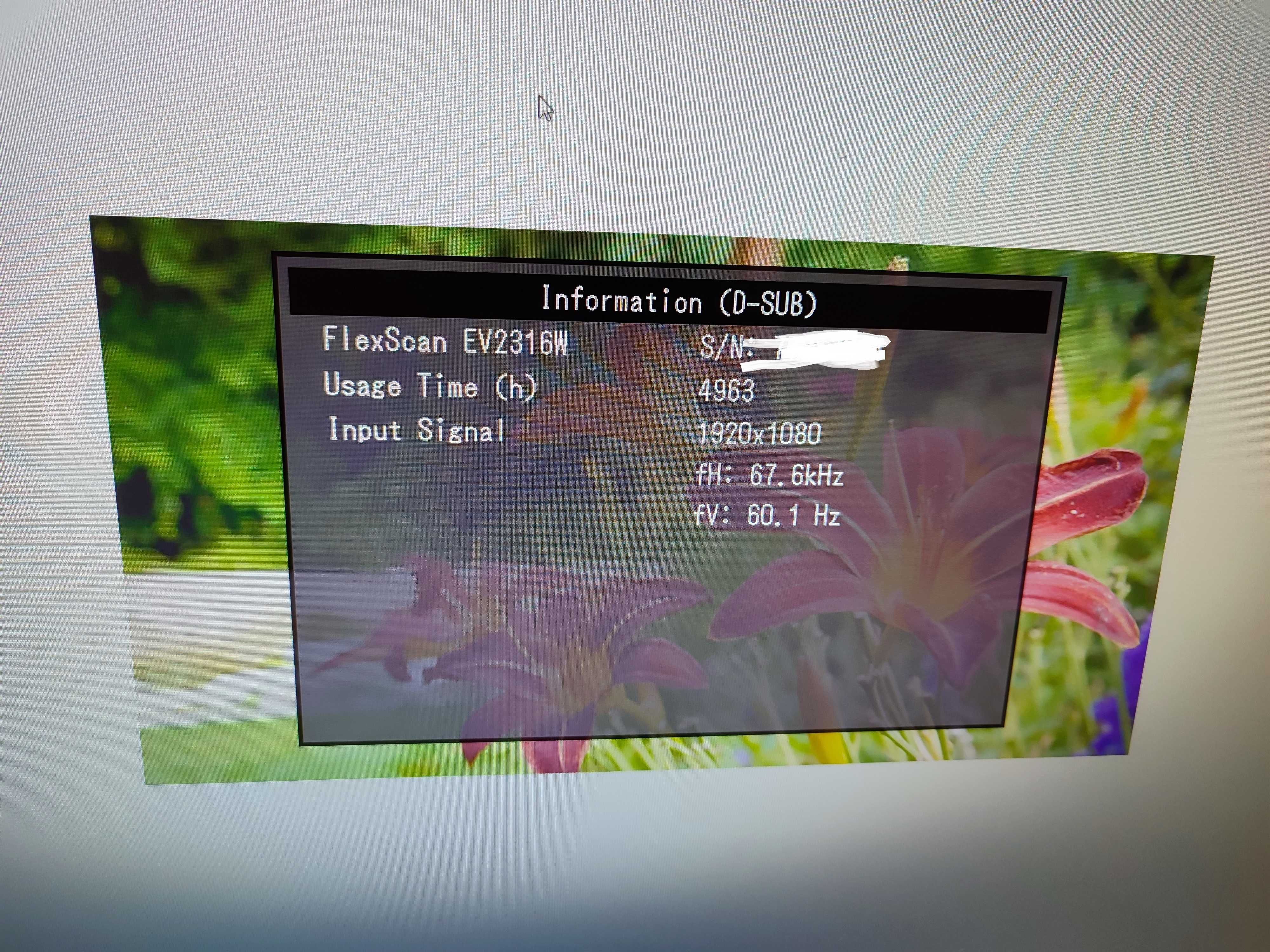 монитор EIZO Flex Scan EV2316W