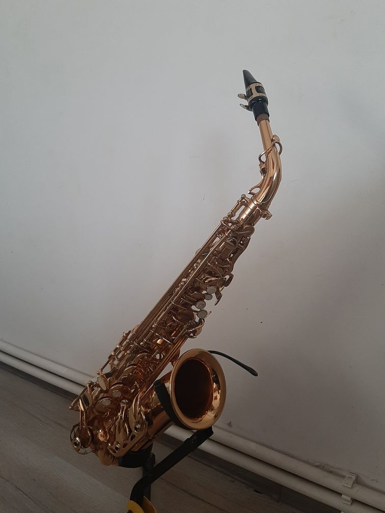 Saxofon, mustiuc Selmer!