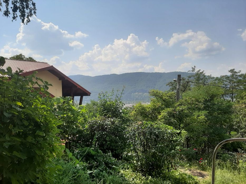 Teren Piatra Neamt 1357 mp