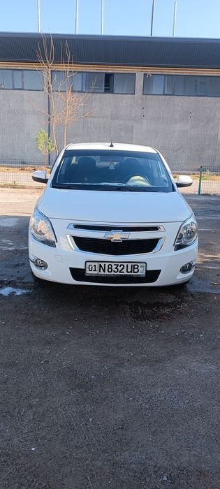 Kobalt bir qoʻl toza