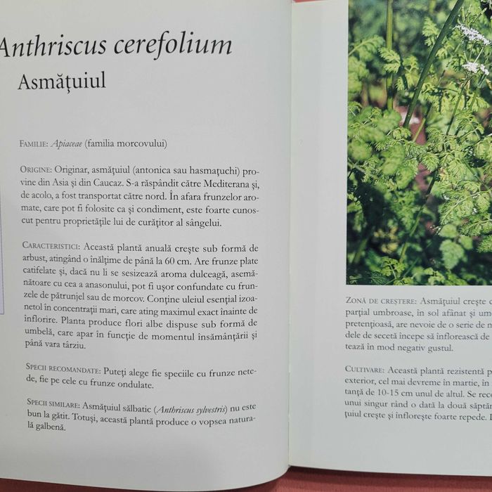 Plante aromatice - Dictionarul Dumont