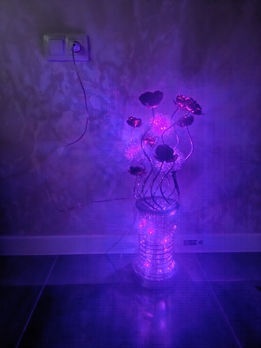 Свитилний рангли