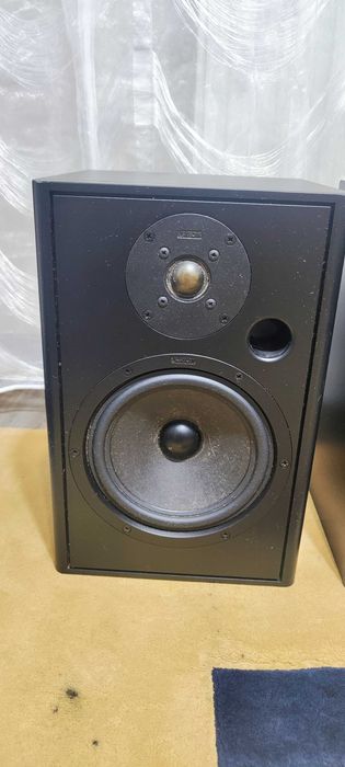 Boxe de Raft Infinity Reference 10 Boxe Audio de Camera Difuzoare