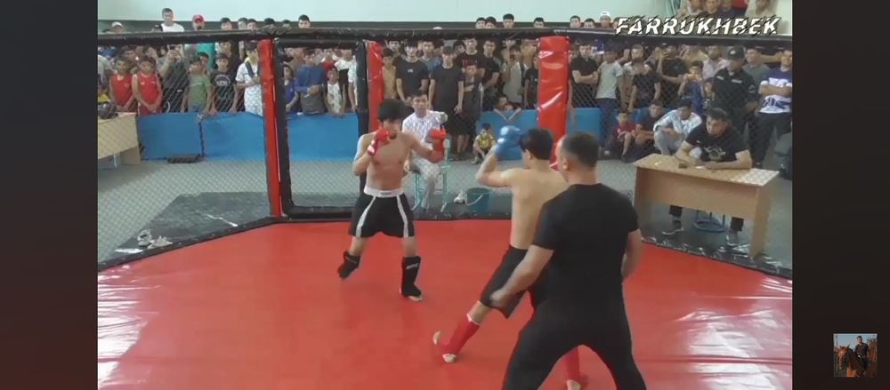 Октагон сотилади