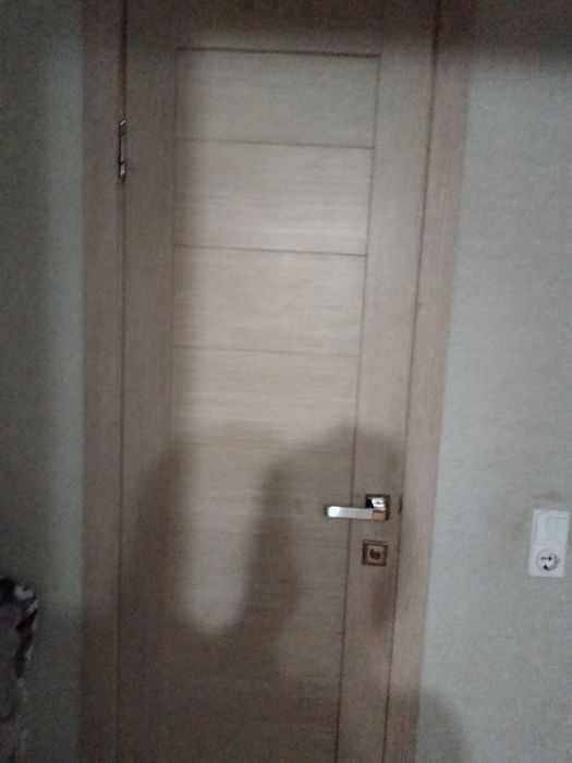 Двери ванной и туалета 60