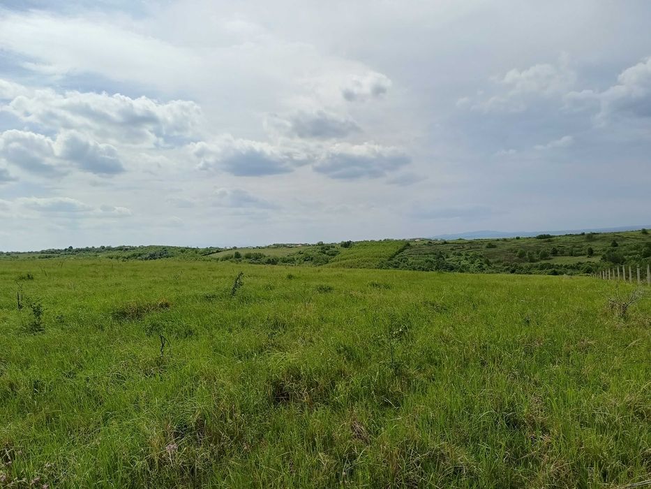 Vand teren in locatie ideala