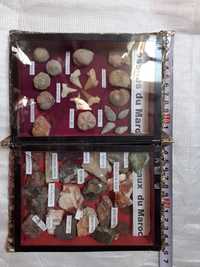 Fosile si minerale din Maroc