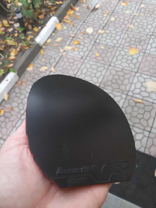 Fata de paleta Butterfly Dignis 09c