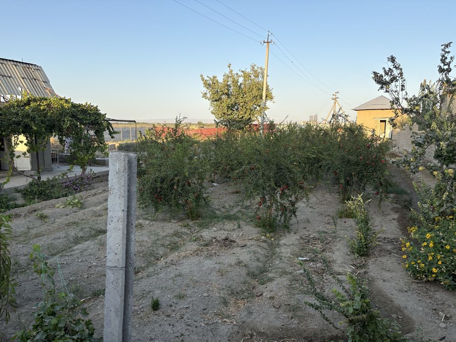 Dacha vasxoddan dacha sotiladi