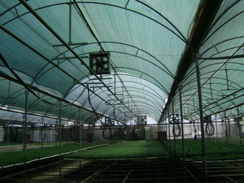 PLASA 50%UMBRIRE 2x50m-220lei; 3x50m=370lei; 6x50m=570lei; GARANTIE