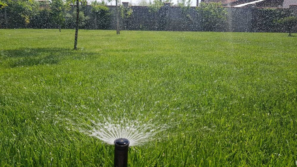 Amenajam spatii verzi / montam pavaje