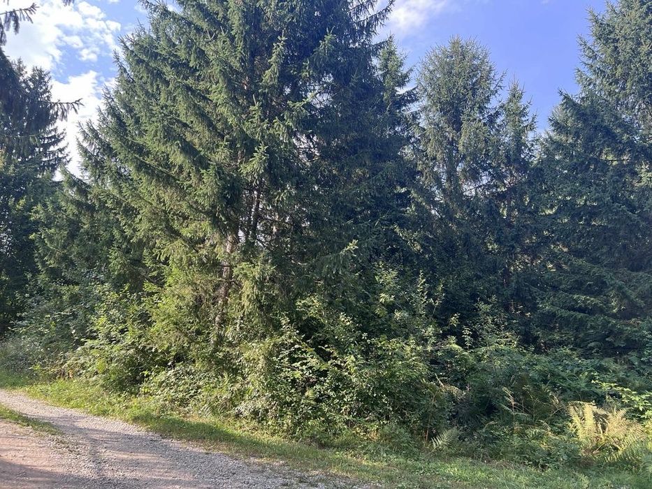 Teren Intravilan 756 mp zona Valea Avrigului