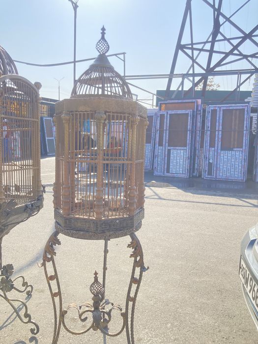 Papugaylar uchun qafas