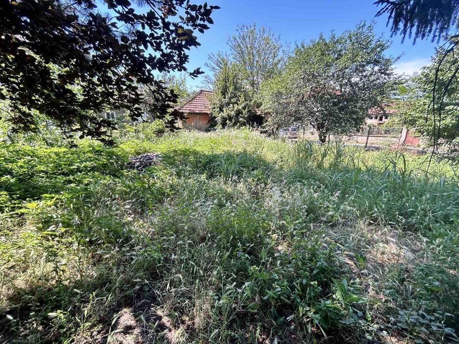 Косене и поддръжка на дворове