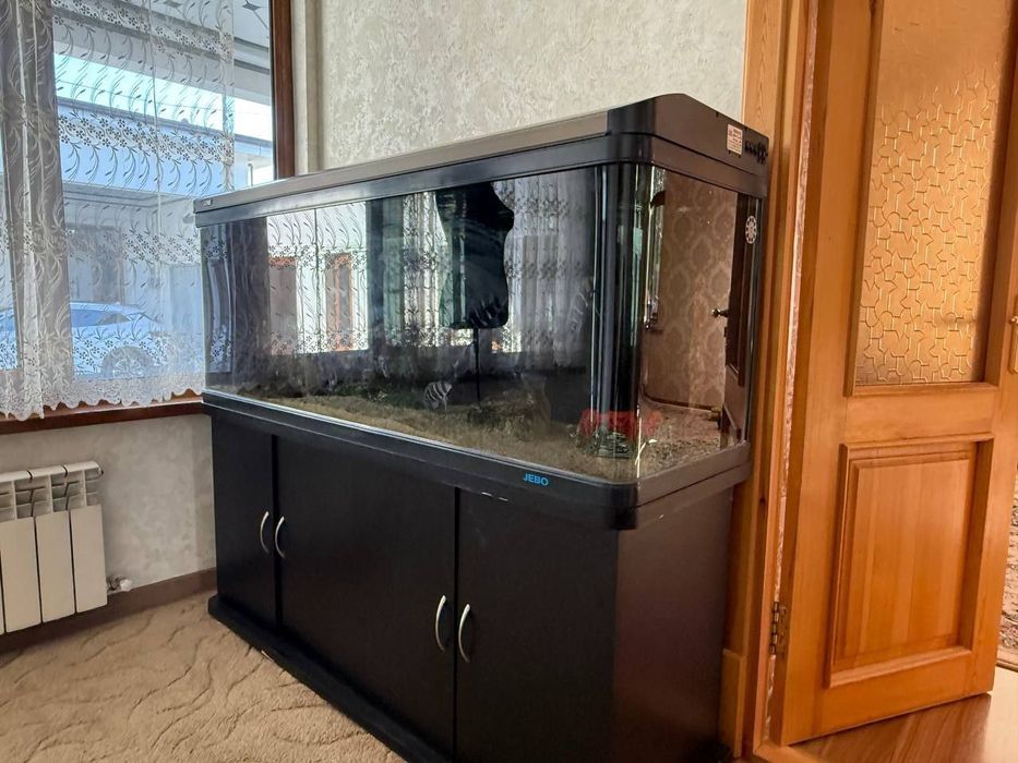 Хитой аквариум сотилади.