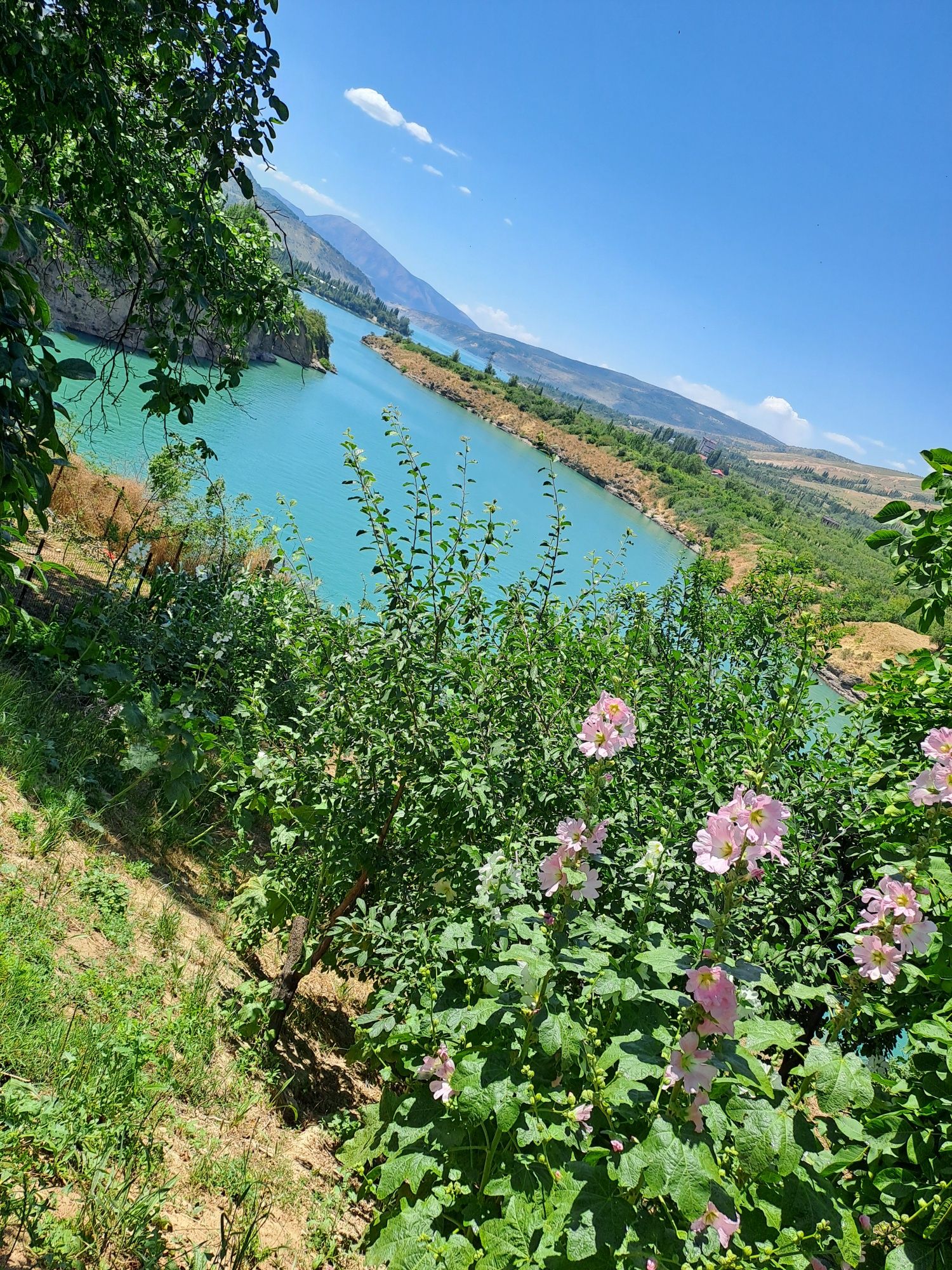 Toshkent viloyati Bo'stonliq tumani Nanay qishlog'ida dach
