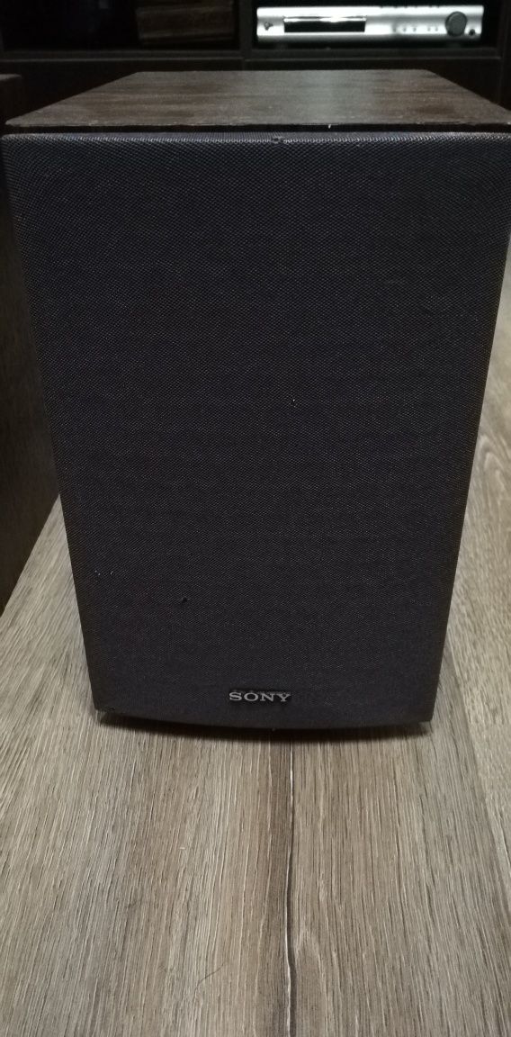 Boxe Sony SS-CCPZ1