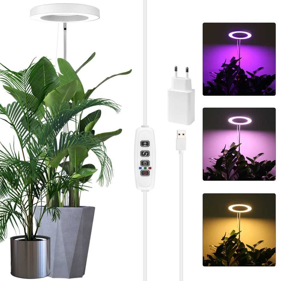 Lampa pentru plante