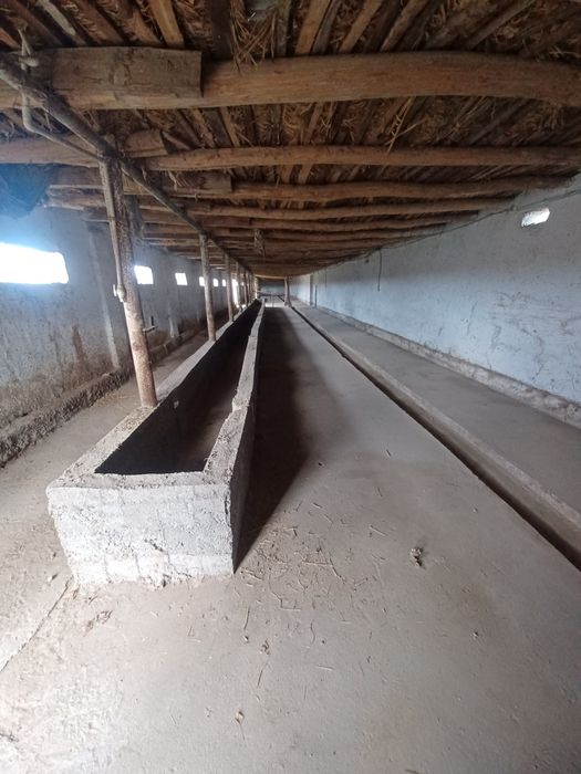 Тошкент Вилояти . Охонгоран  Тумани . Галакудук  ФЕРМА    2,7 Гектар .