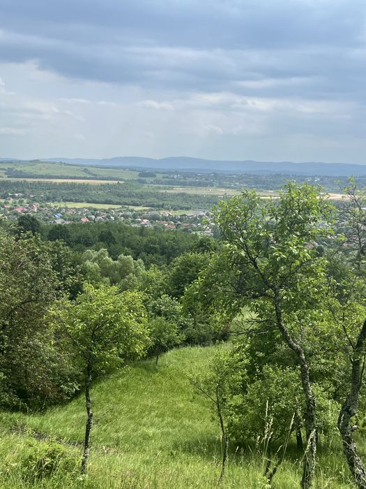 Teren ideal pentru cabane