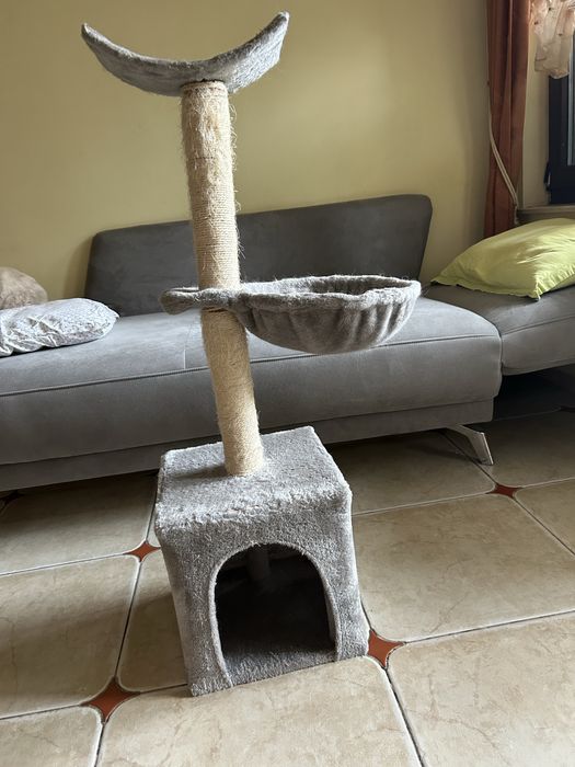 Котешка катерушка в добро състояние