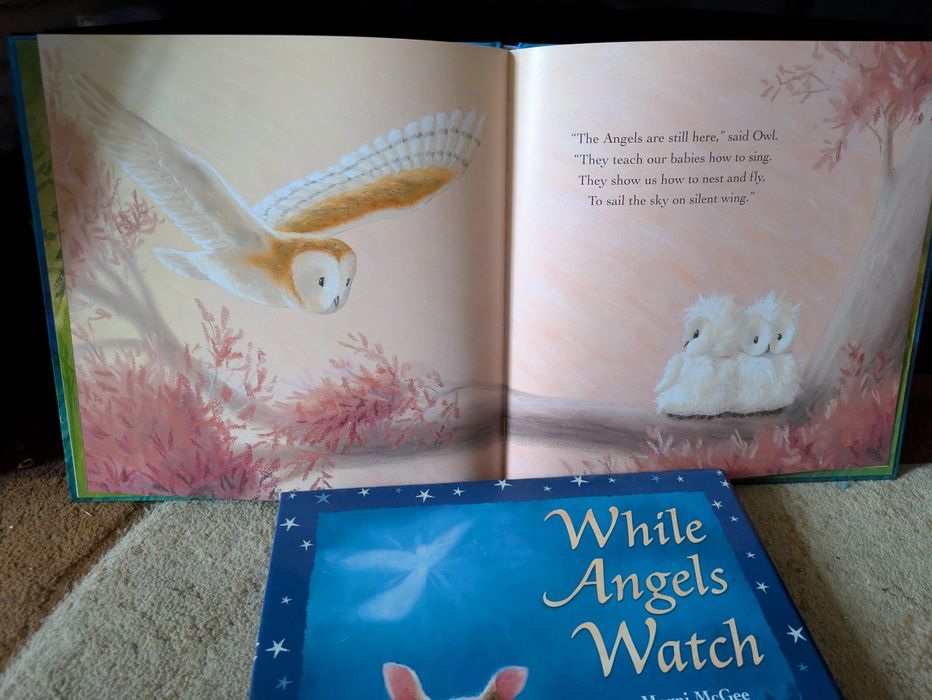 SET 2 Carti in engleza The Snow Angel + while Angels Watch