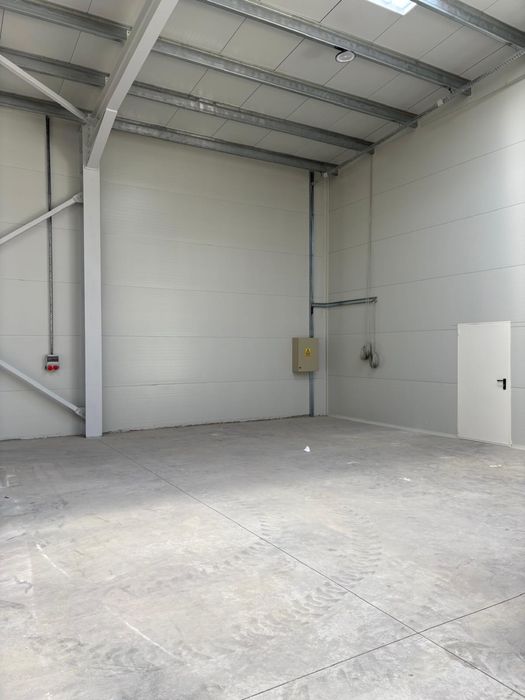 Inchiriere hala noua - productie / depozitare