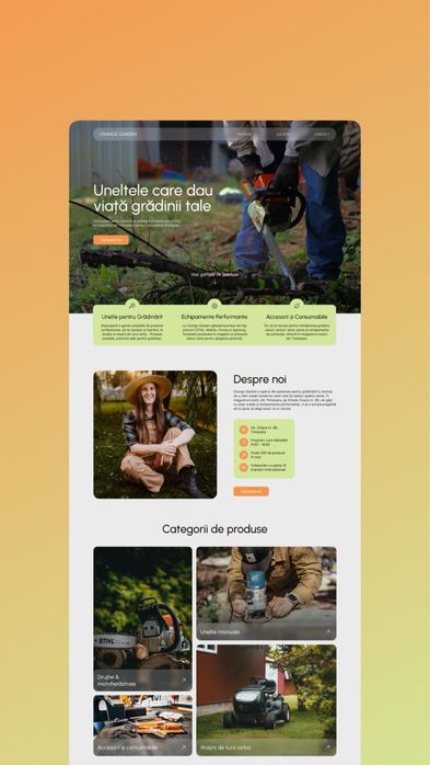 UI/UX designer si developer pro