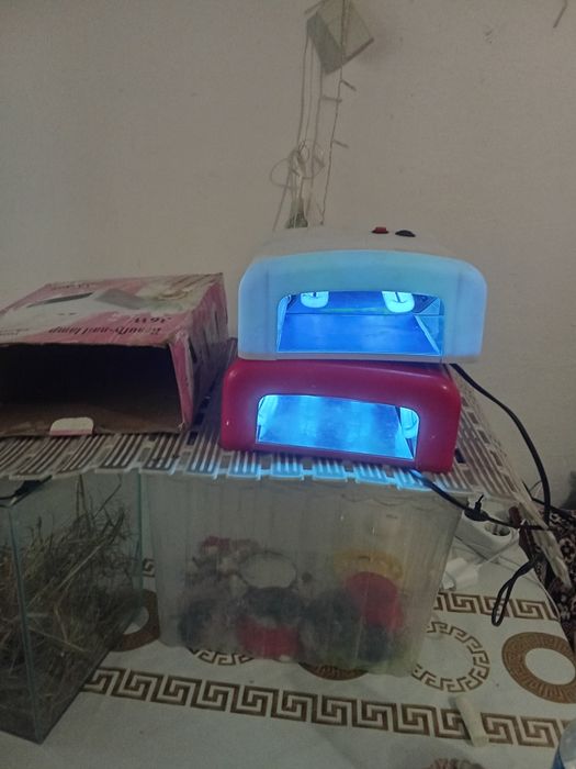 Ультрафиолетовые лампы