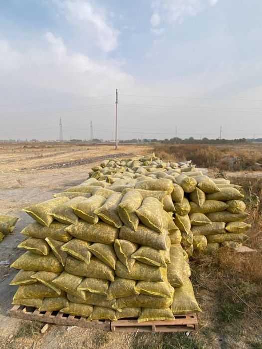 Silos bor qoplangan