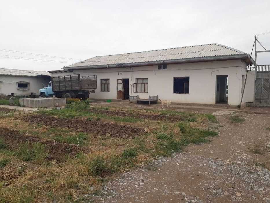 Теплица, паррандачилик, корамол Фермаси (птицеферма, иссикхона, чорва)