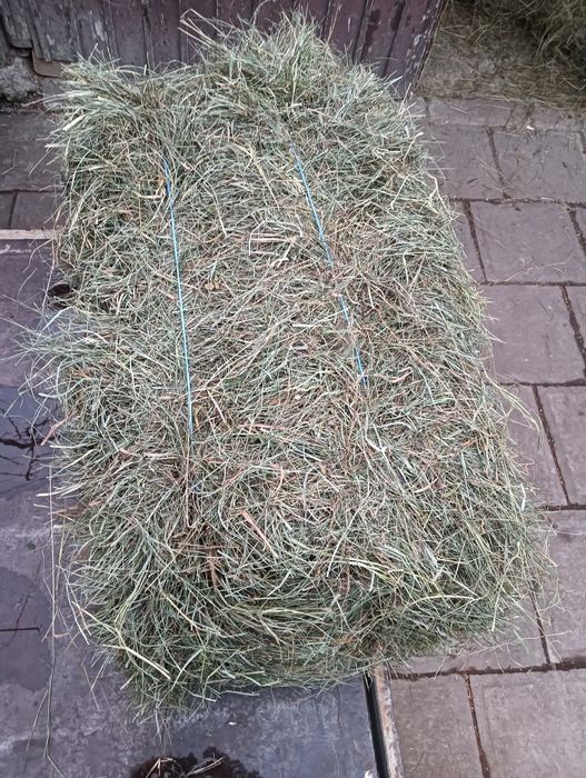 Baloți pătrați de otavă si fân