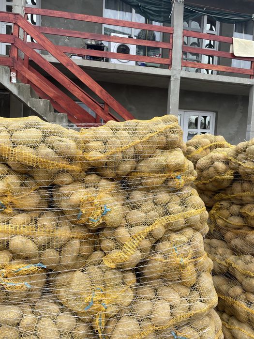 vand cartofi de polonia