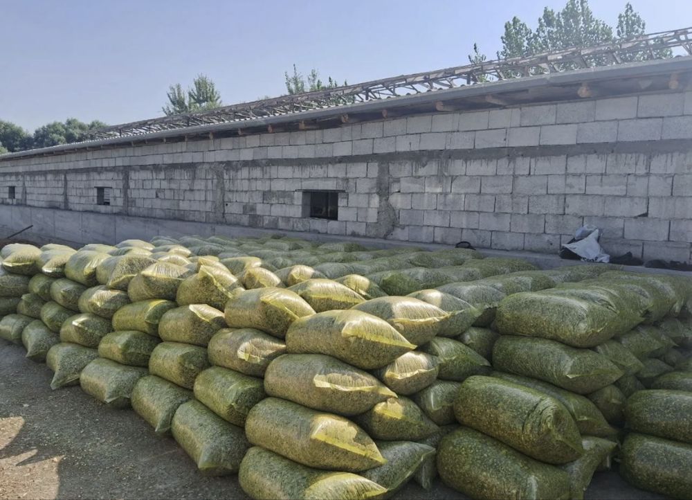 Silos DONLIK GIBRIT 18 000 som OPTOM