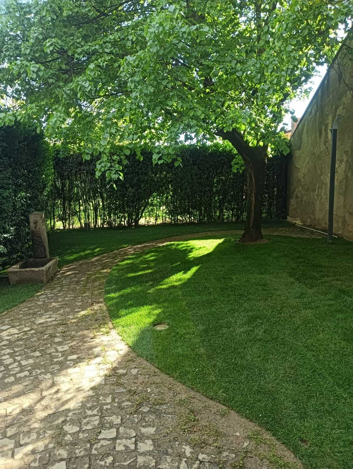 sisteme de irigat