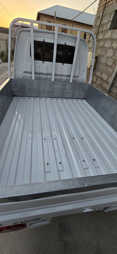 Shineray T30