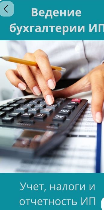 Введение ИП ТОО,  Отчеты