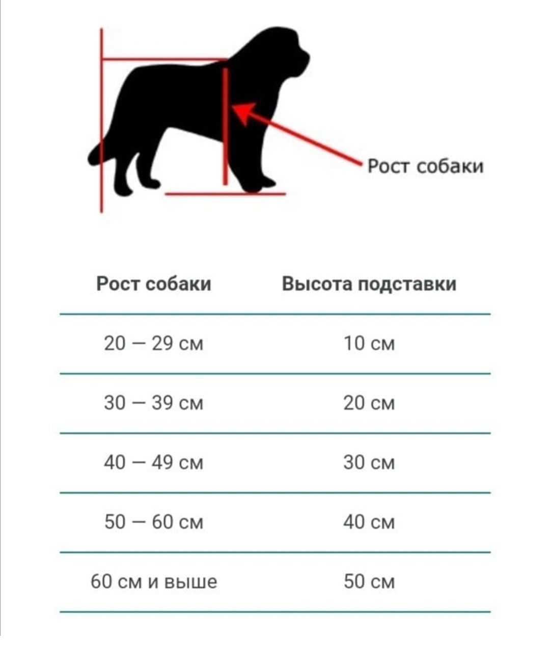 Телескопическая кормушка для собак. Кормушка, миски на штативе.