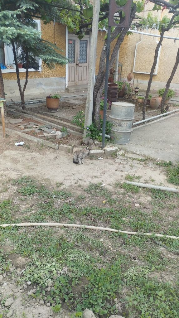Къща в село Ветрен общ.Мъглиж