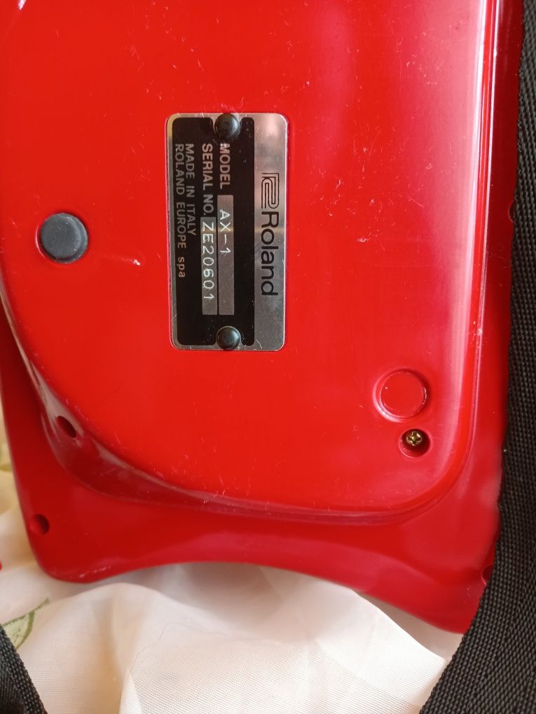 Roland ax 1 an Stare Buna