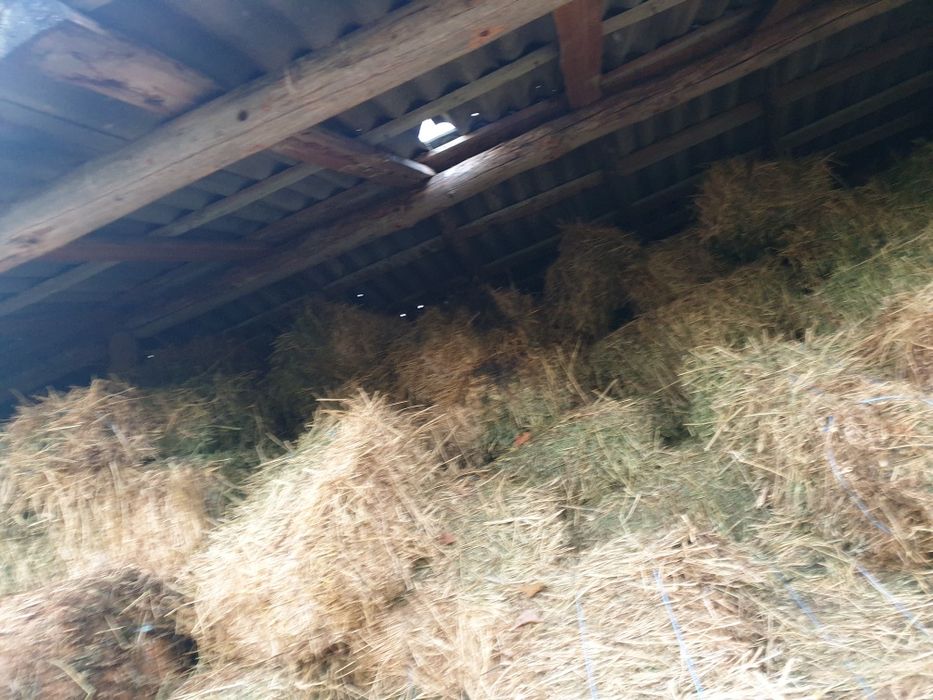 Dau baloti  coasa a doua și a 3