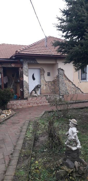 Vând casă Lazuri, jud. SM