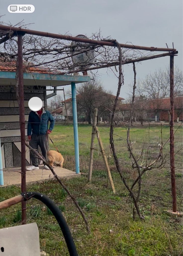 Продава се Къща в с. Скобелево, Област Сливен - 100 кв.м за 385 €/кв.м - Снимка #4