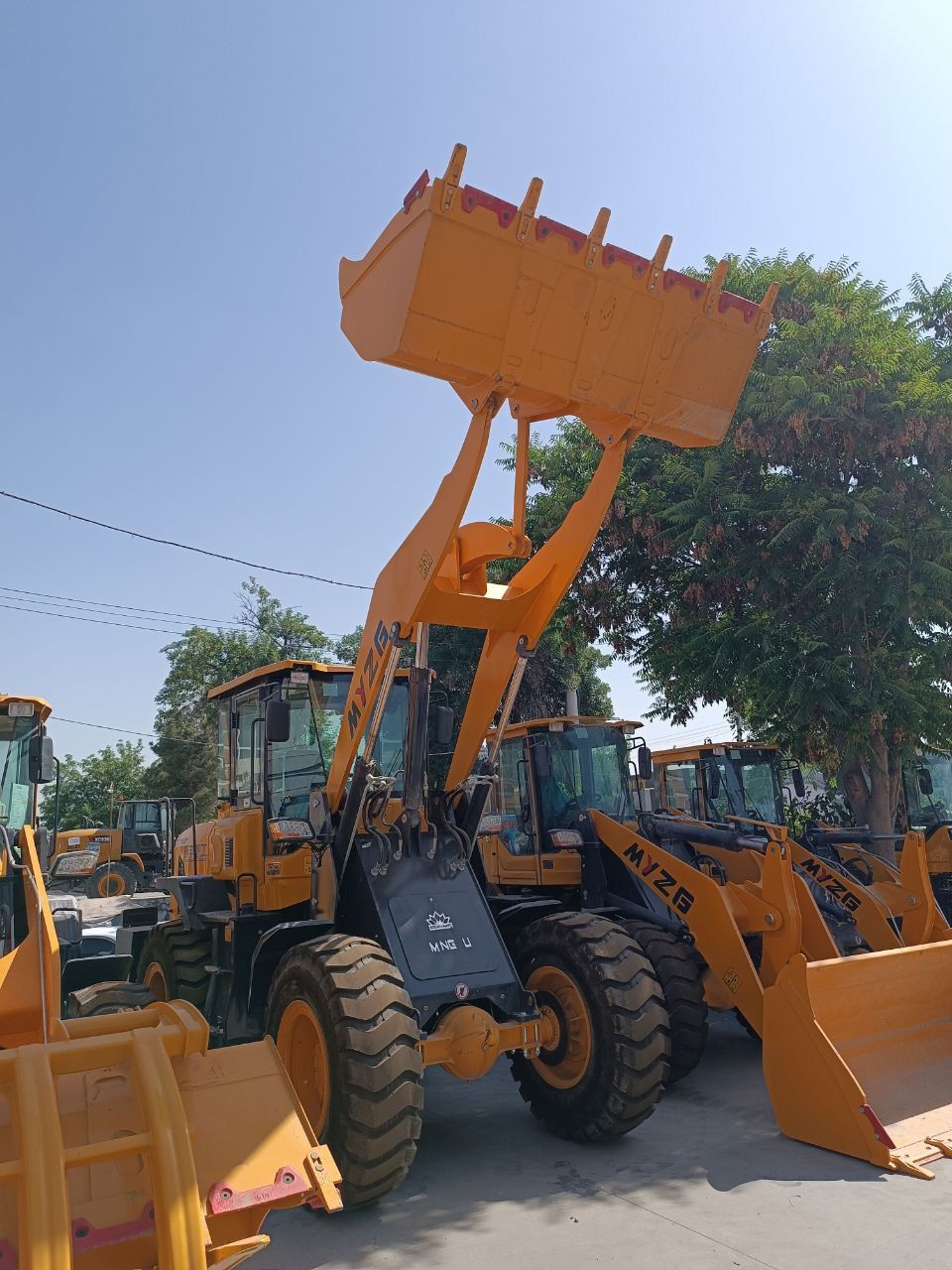 Pagurchik 01 eng arzoni
