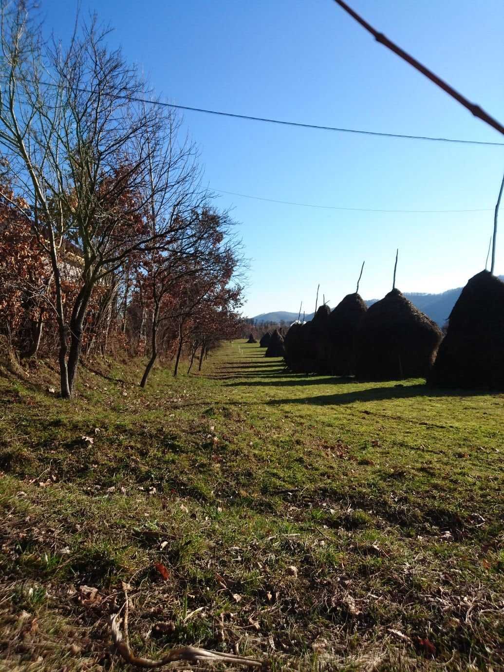 Teren de vinzare Nasaud